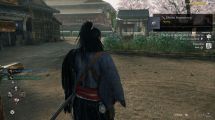 Rise of the Ronin