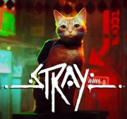 Stray box art